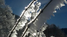 winter-08.jpg