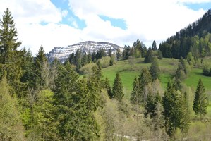 Blick von Balkonen und Terasse