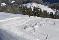 Winterwanderung zur Weißach