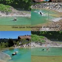 collage-schwimmteich-1000.jpg